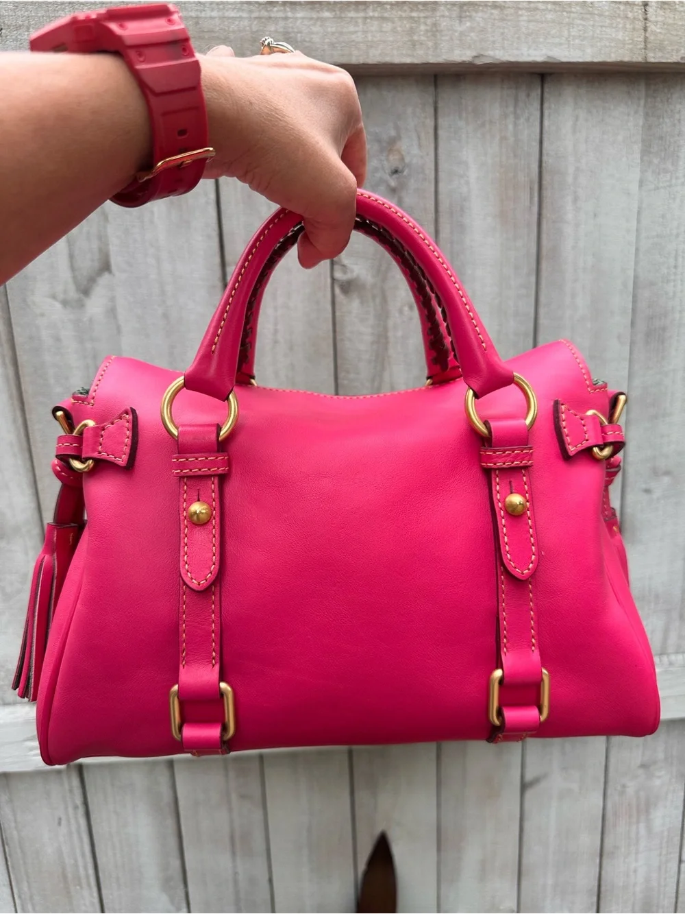 Dooney & Bourke Mini Fuchsia Leather Satchel